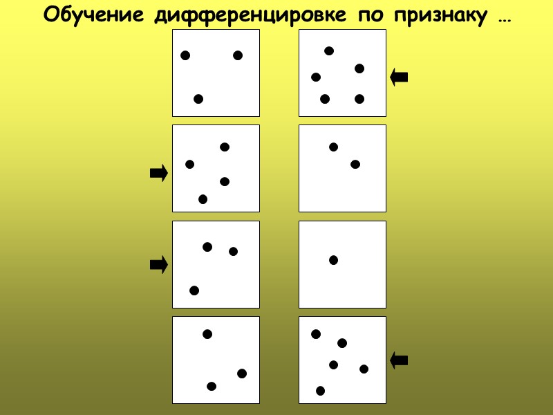 Обучение дифференцировке по признаку …
